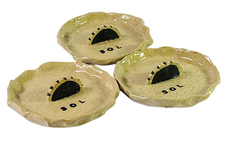 Image with text section