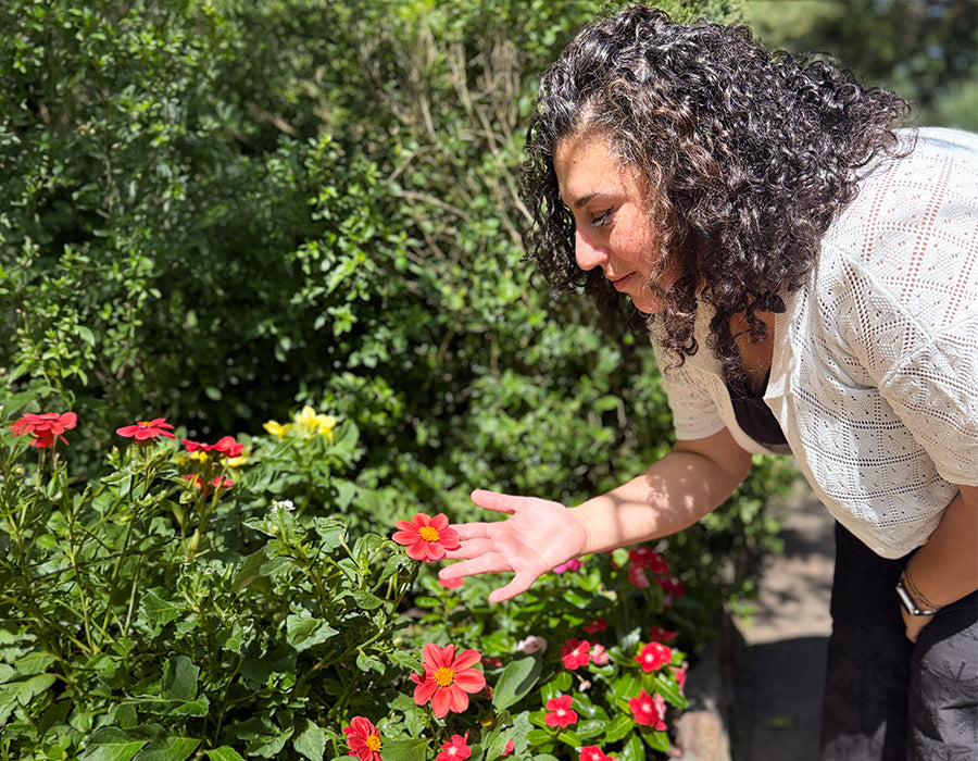 Image with text section